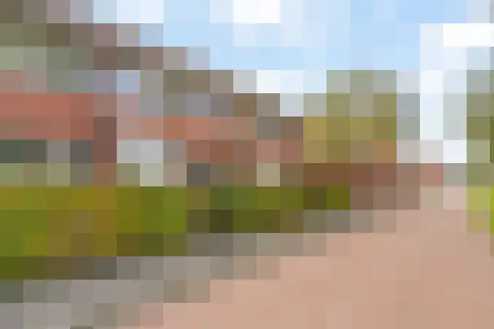 Jan Wilspad 36 Rotterdam thumbnail 7