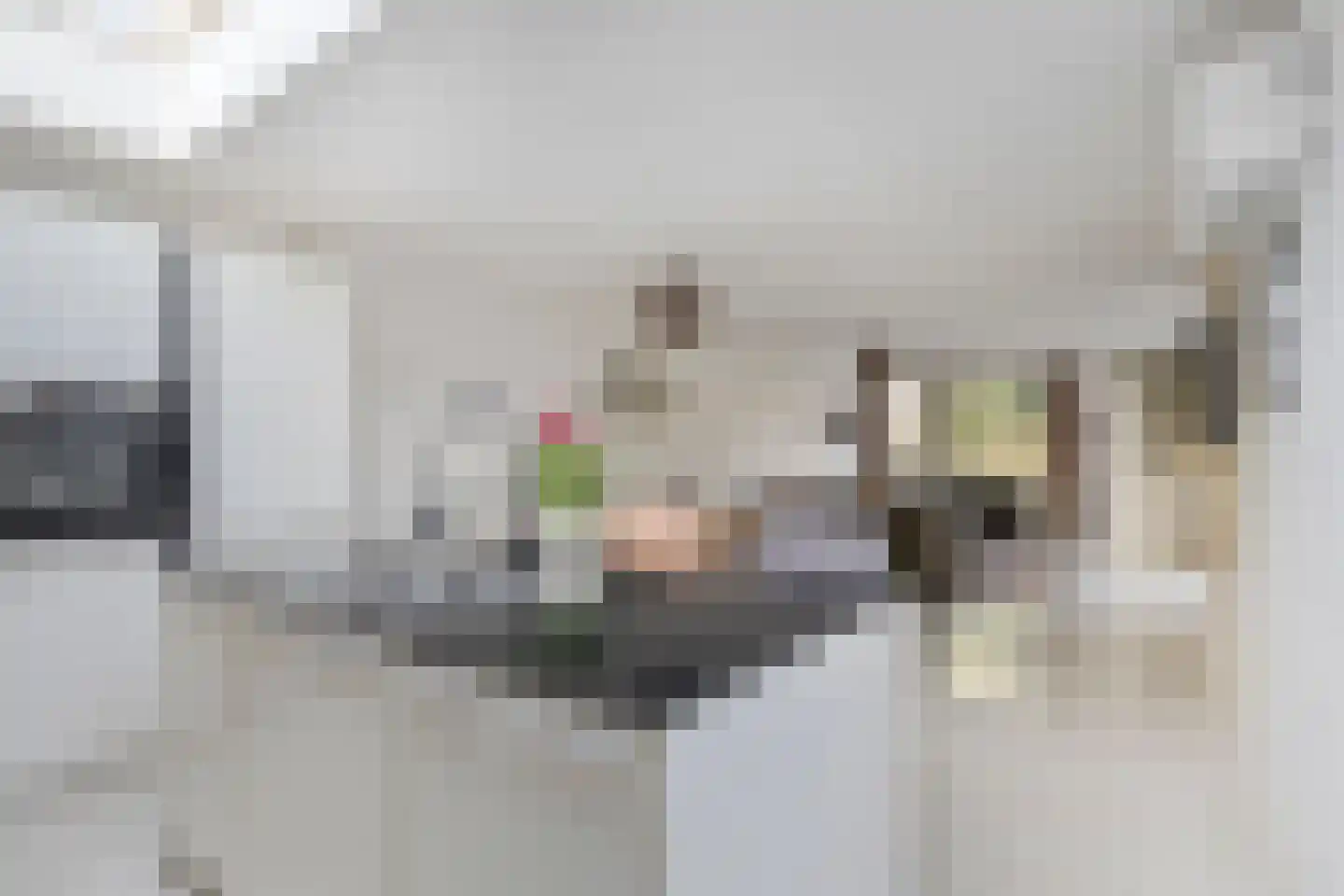 Jan Wilspad 4 Rotterdam thumbnail 11