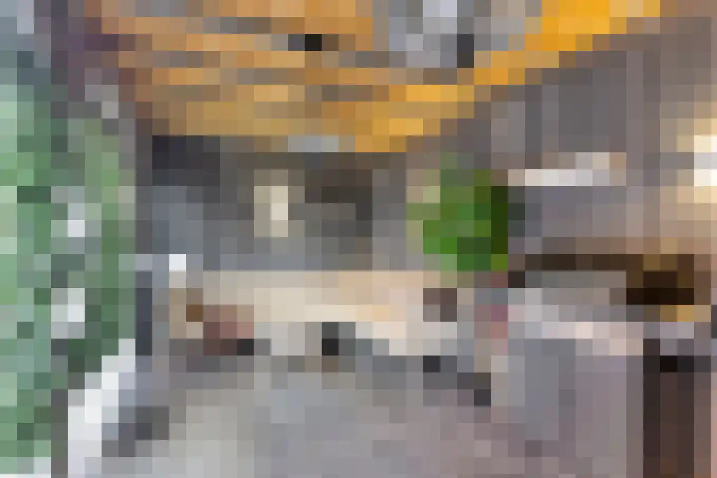 Jan Wilspad 4 Rotterdam thumbnail 20