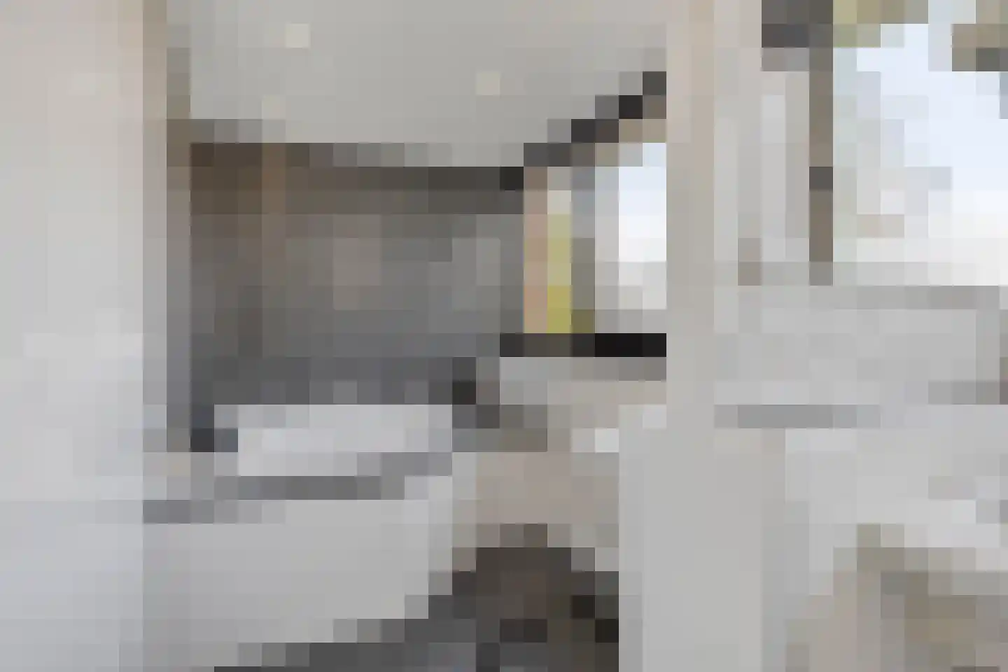 Jan Wilspad 4 Rotterdam thumbnail 26