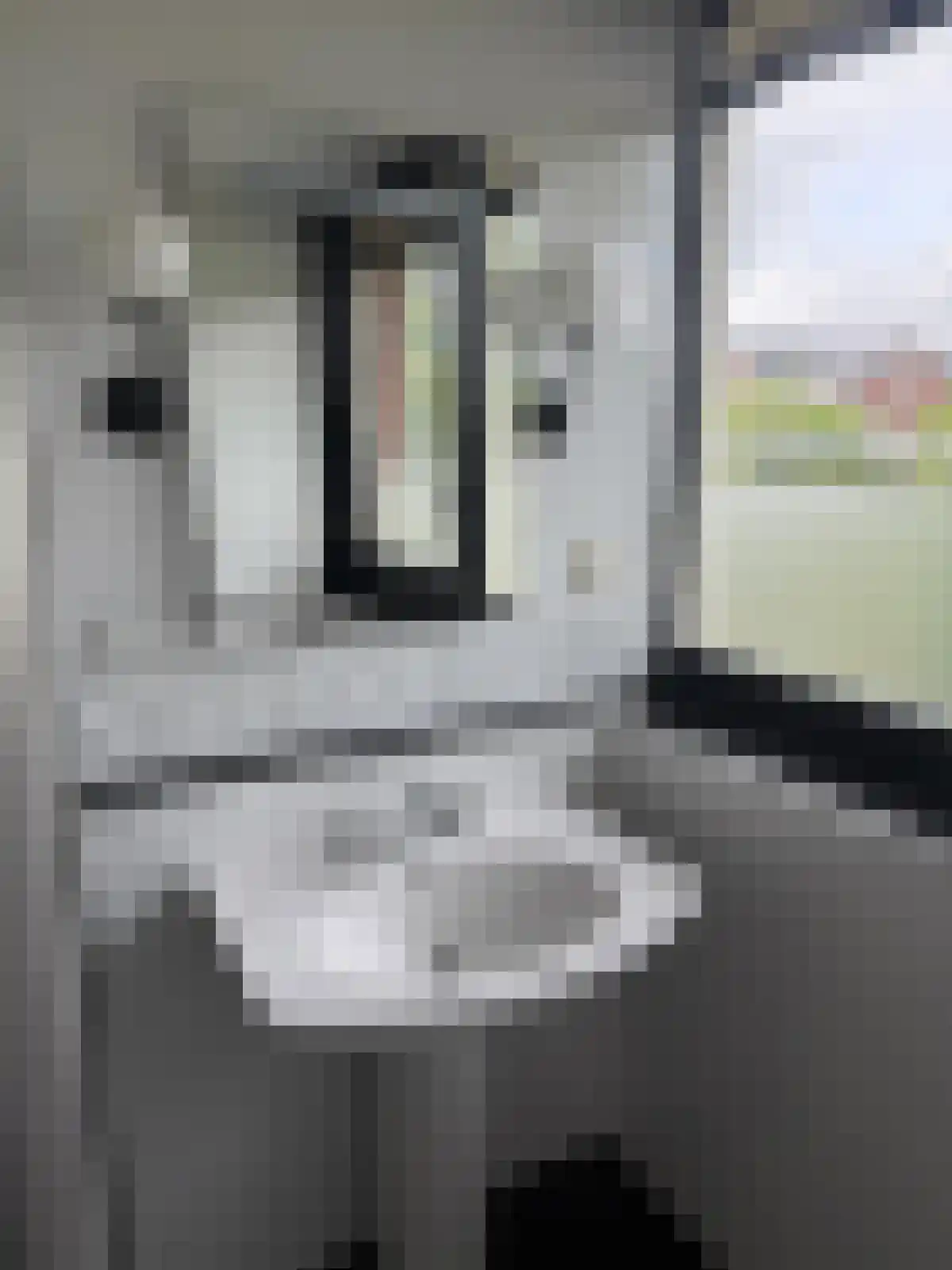 Jan Wilspad 4 Rotterdam thumbnail 32