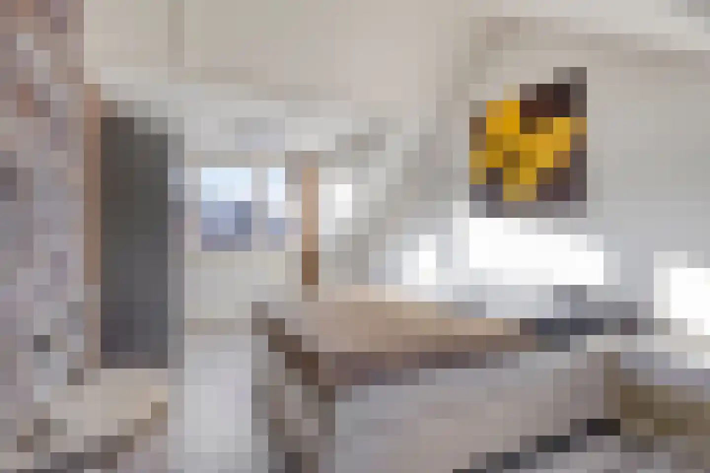 Jan Wilspad 4 Rotterdam thumbnail 39