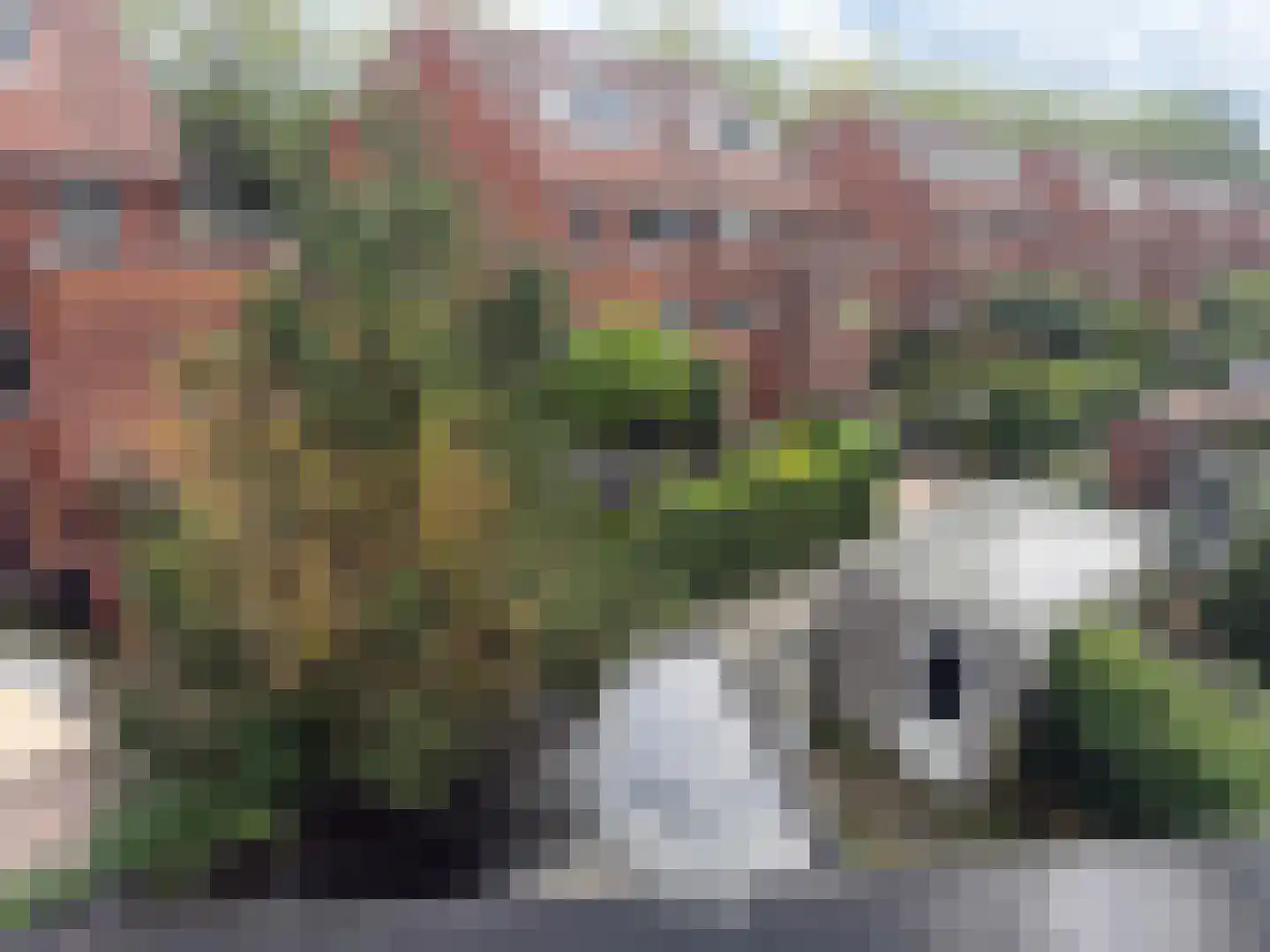 Jan Wilspad 4 Rotterdam thumbnail 40