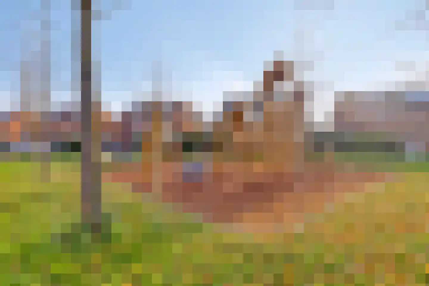 Jan Wilspad 4 Rotterdam thumbnail 40