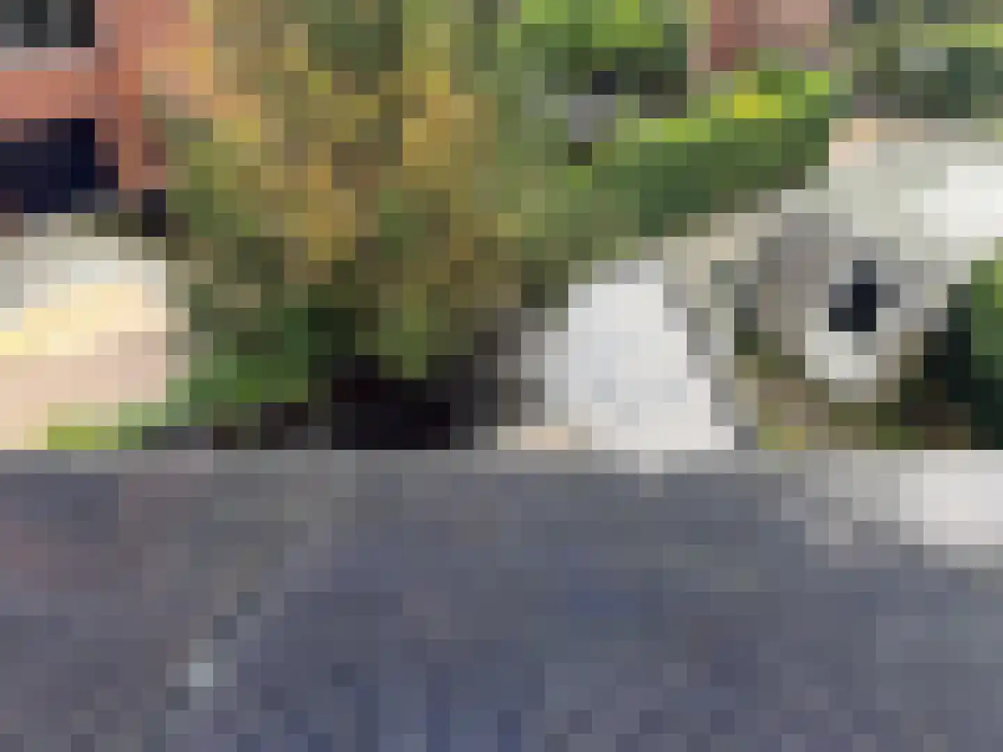 Jan Wilspad 4 Rotterdam thumbnail 41