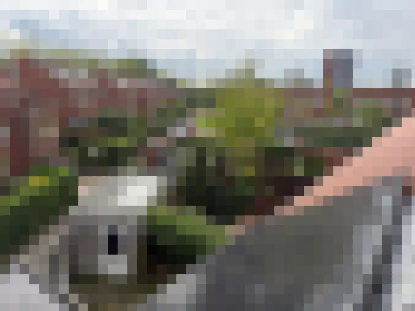 Jan Wilspad 4 Rotterdam thumbnail 42