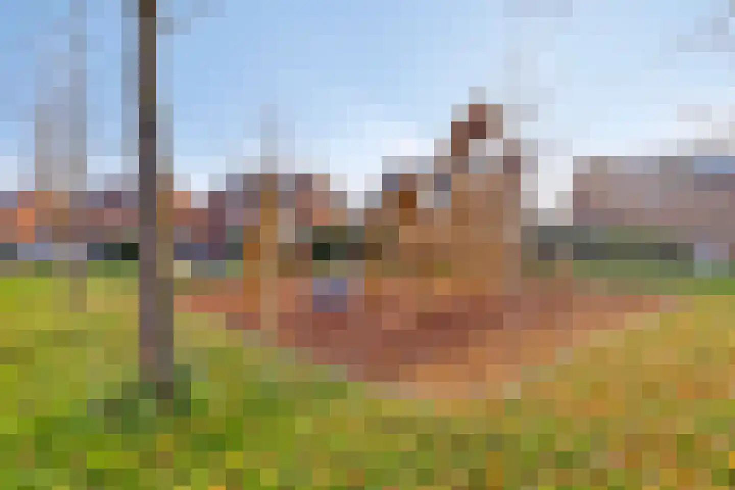 Jan Wilspad 4 Rotterdam thumbnail 46