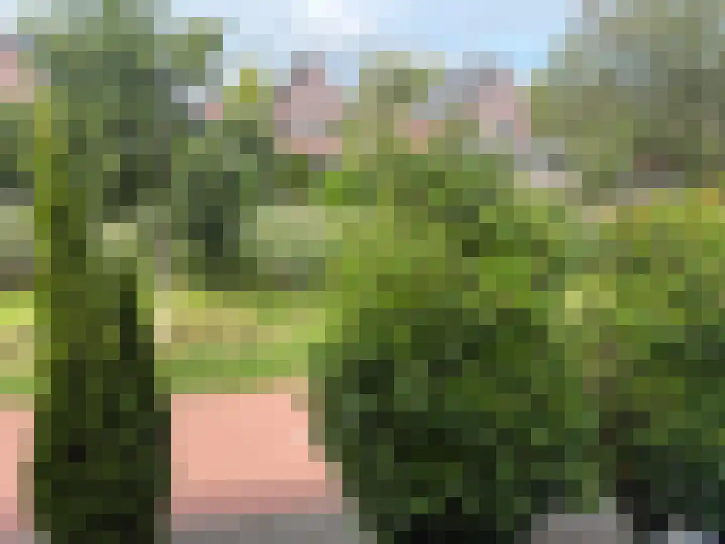 Jan Wilspad 4 Rotterdam thumbnail 47