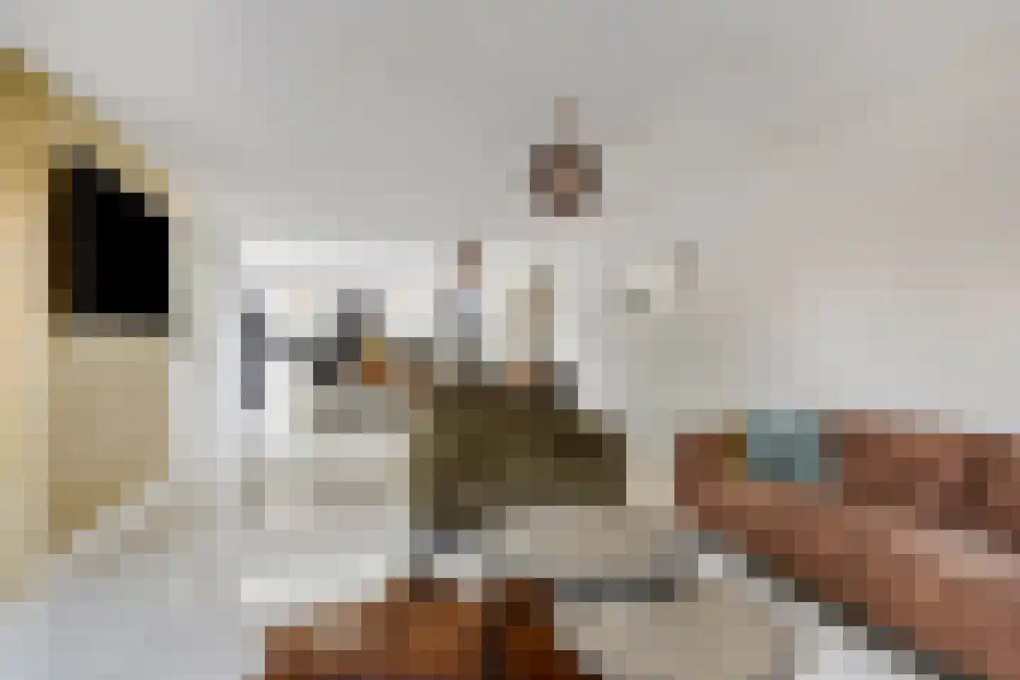 Jan Wilspad 4 Rotterdam thumbnail 6