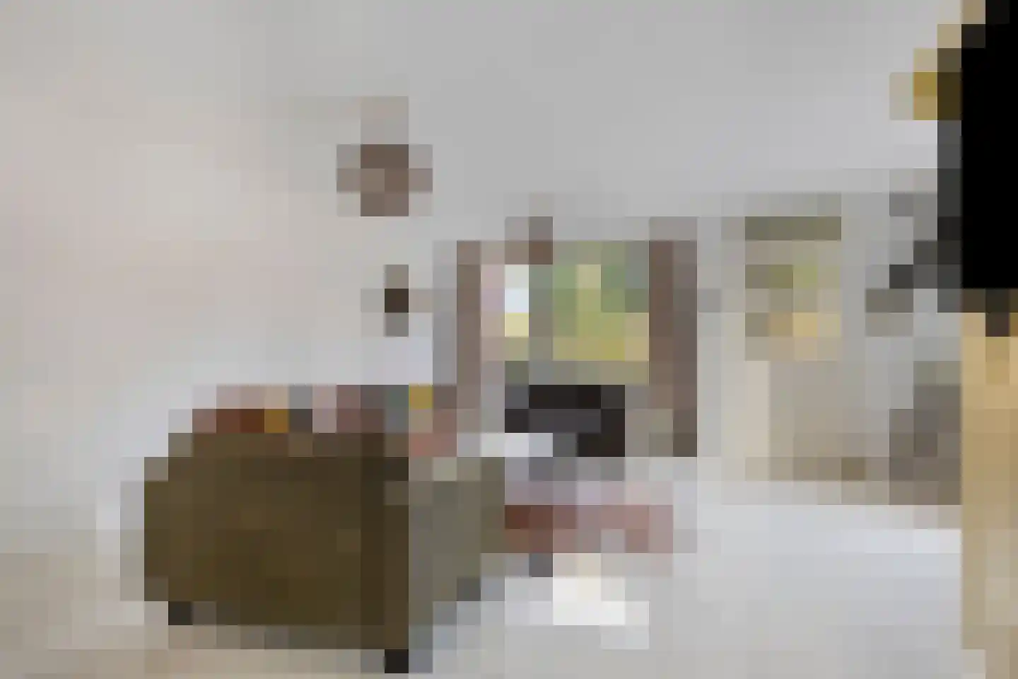 Jan Wilspad 4 Rotterdam thumbnail 7