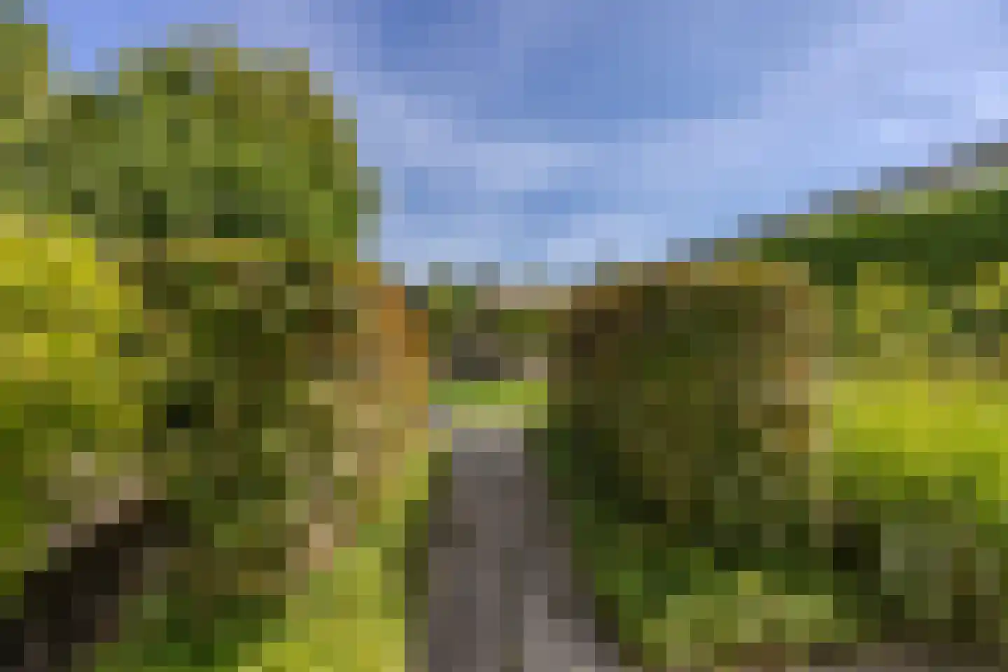 Jan Wilspark 27 Oegstgeest thumbnail 20