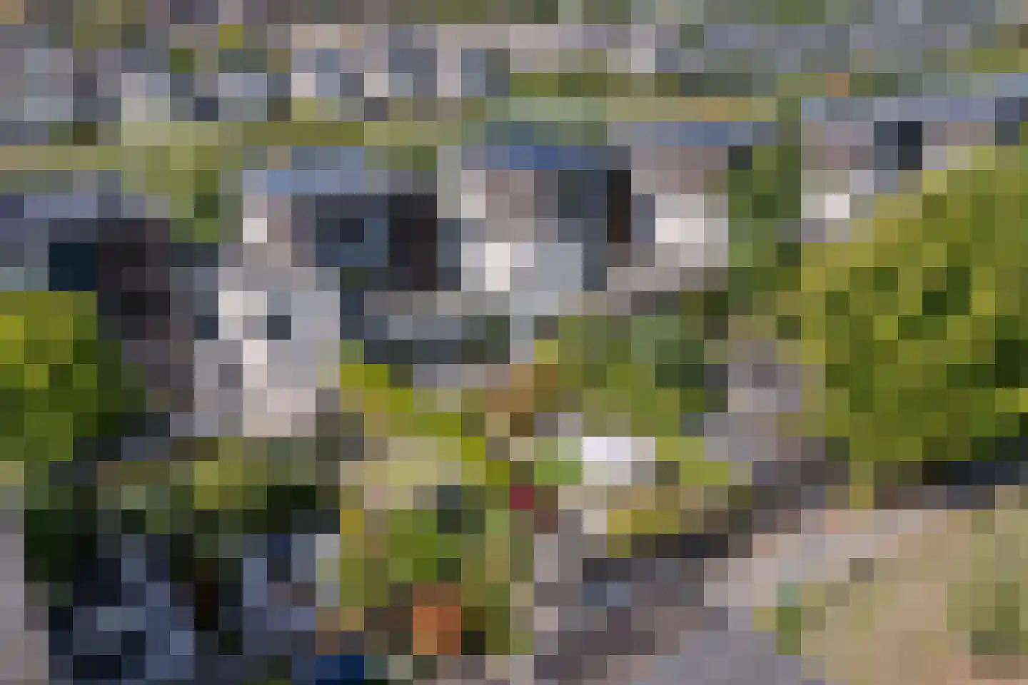 Jan Wilspark 27 Oegstgeest thumbnail 26
