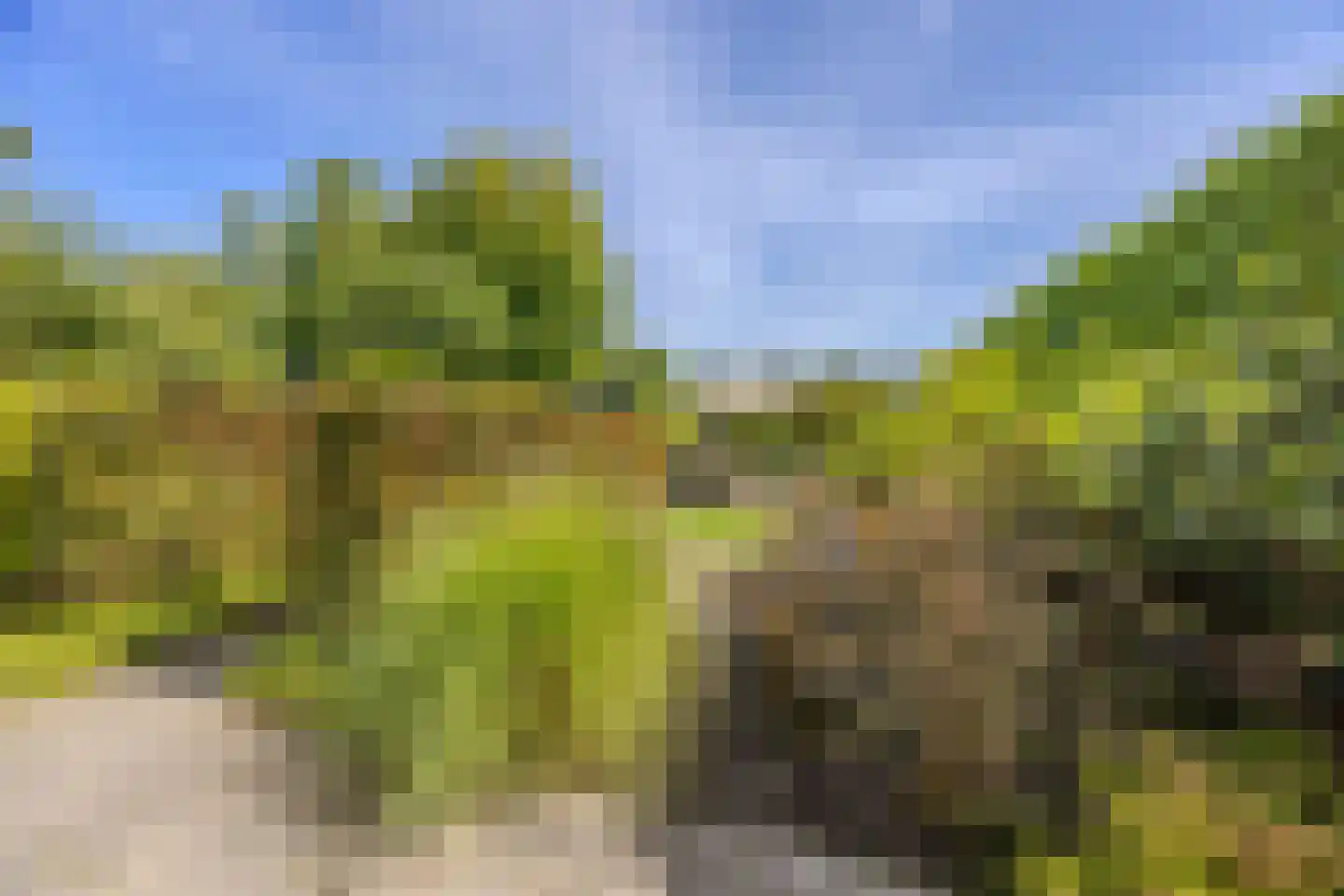 Jan Wilspark 27 Oegstgeest thumbnail 5