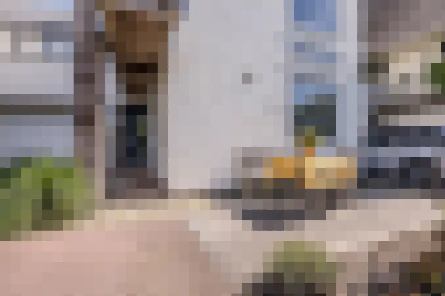 Jan Wilspark 27 Oegstgeest thumbnail 9