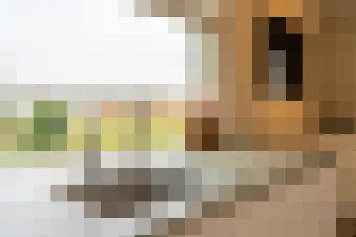 Jan Wilspark 31 Oegstgeest thumbnail 12