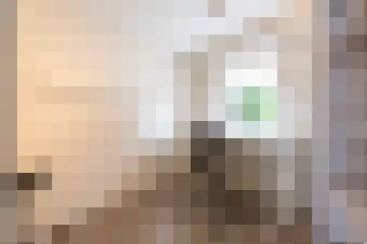 Jan Wilspark 31 Oegstgeest thumbnail 19