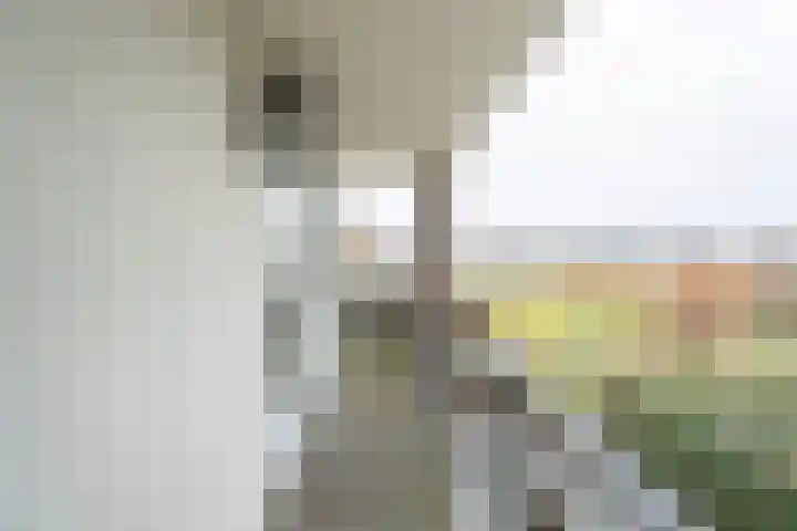 Jan Wilspark 31 Oegstgeest thumbnail 26
