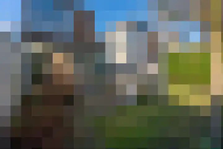 Jan Wilspark 31 Oegstgeest thumbnail 47