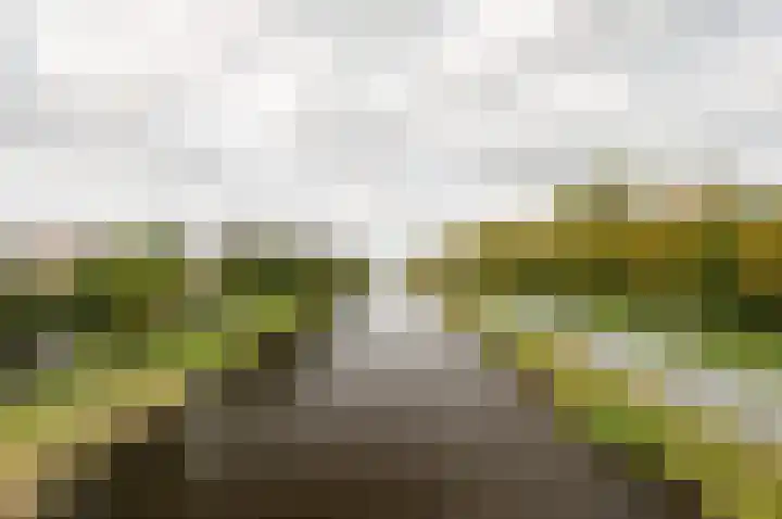 Jan Wilspark 31 Oegstgeest thumbnail 62