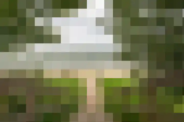 Jan Wilspark 31 Oegstgeest thumbnail 63