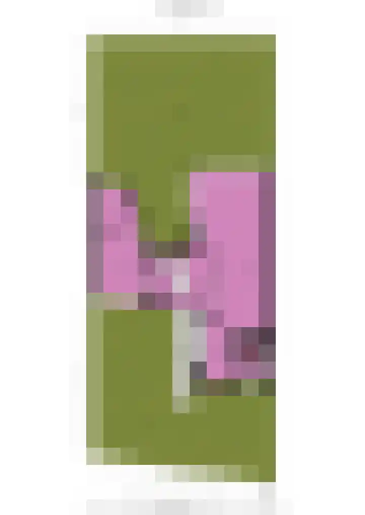 Jan Wilspark 31 Oegstgeest thumbnail 69