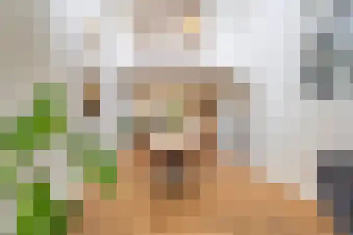 Jan Wilspark 31 Oegstgeest thumbnail 8