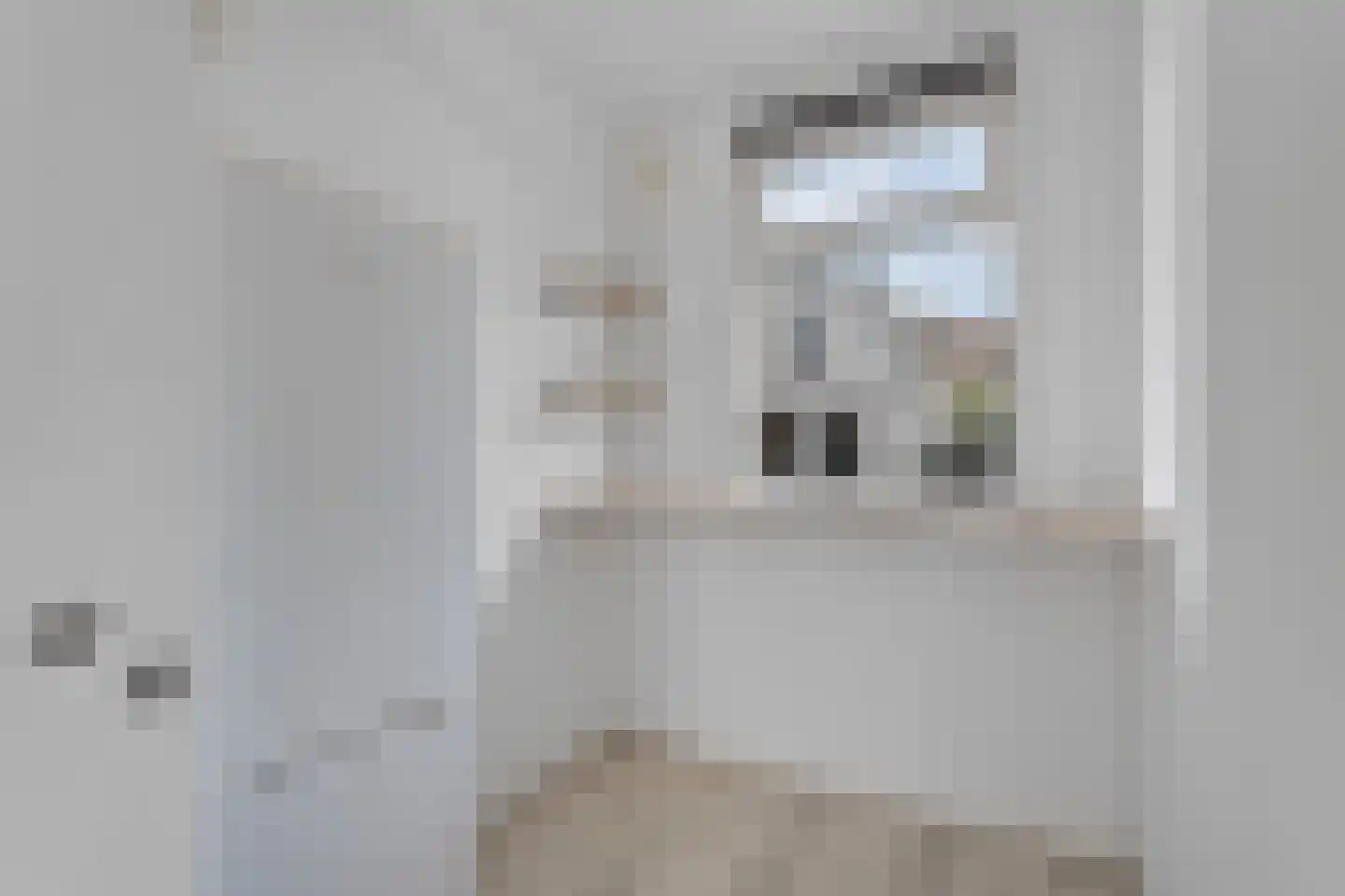 Jan Windhouwerstraat 25 Zaandam thumbnail 16