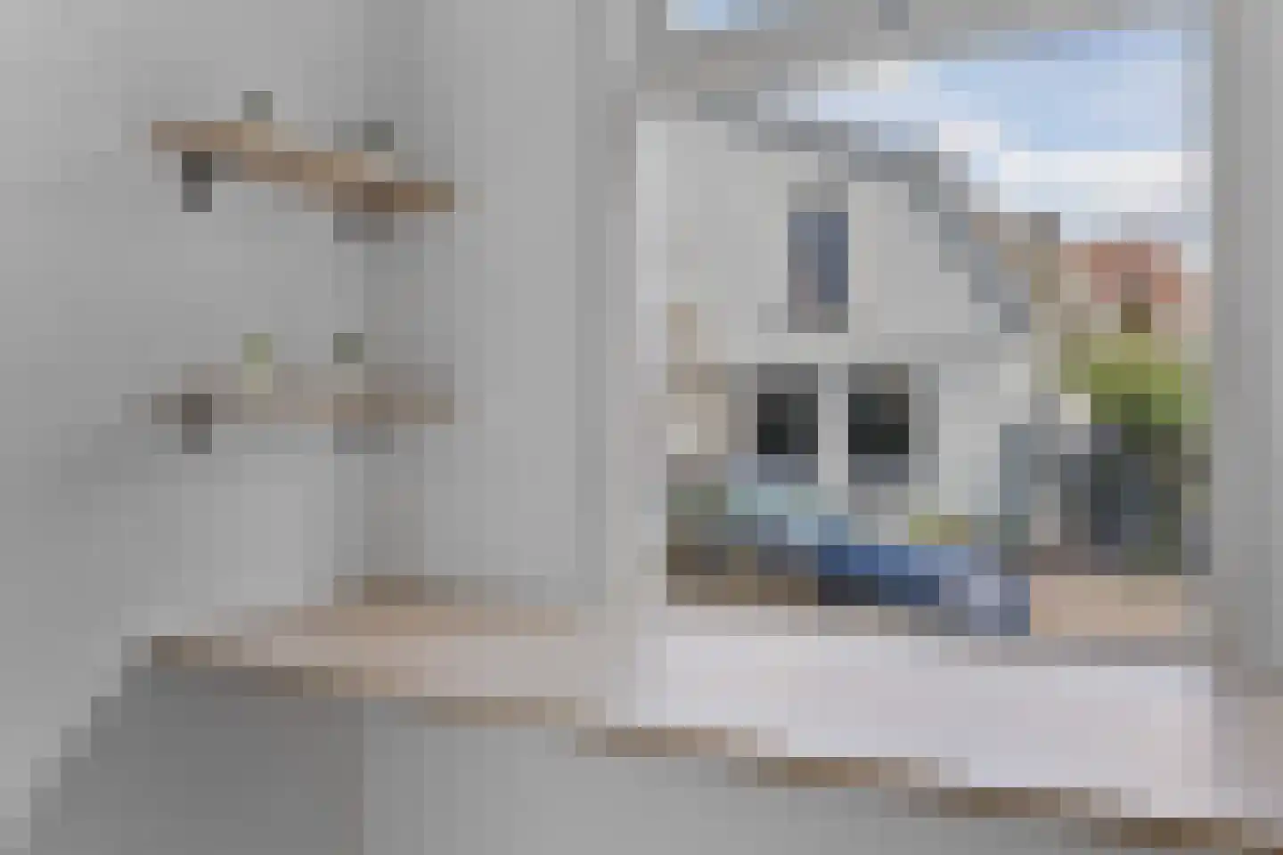 Jan Windhouwerstraat 25 Zaandam thumbnail 17