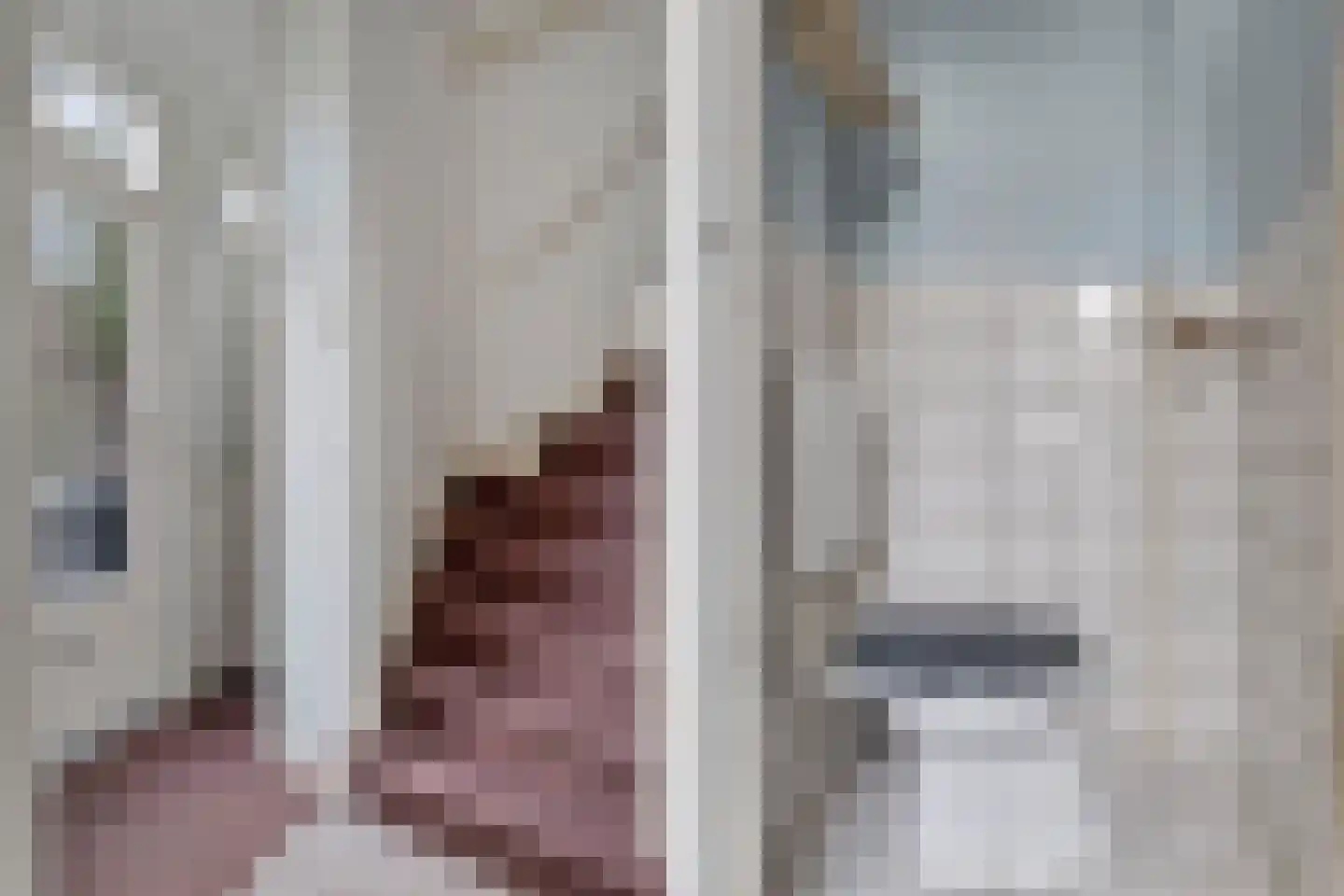 Jan Windhouwerstraat 25 Zaandam thumbnail 21