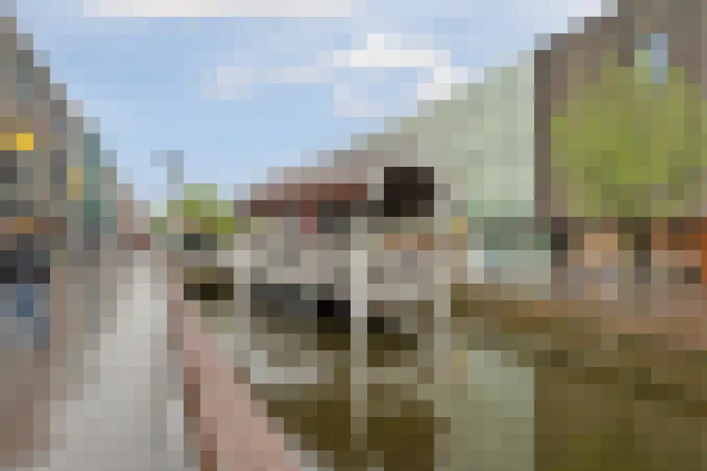 Jan Windhouwerstraat 25 Zaandam thumbnail 39