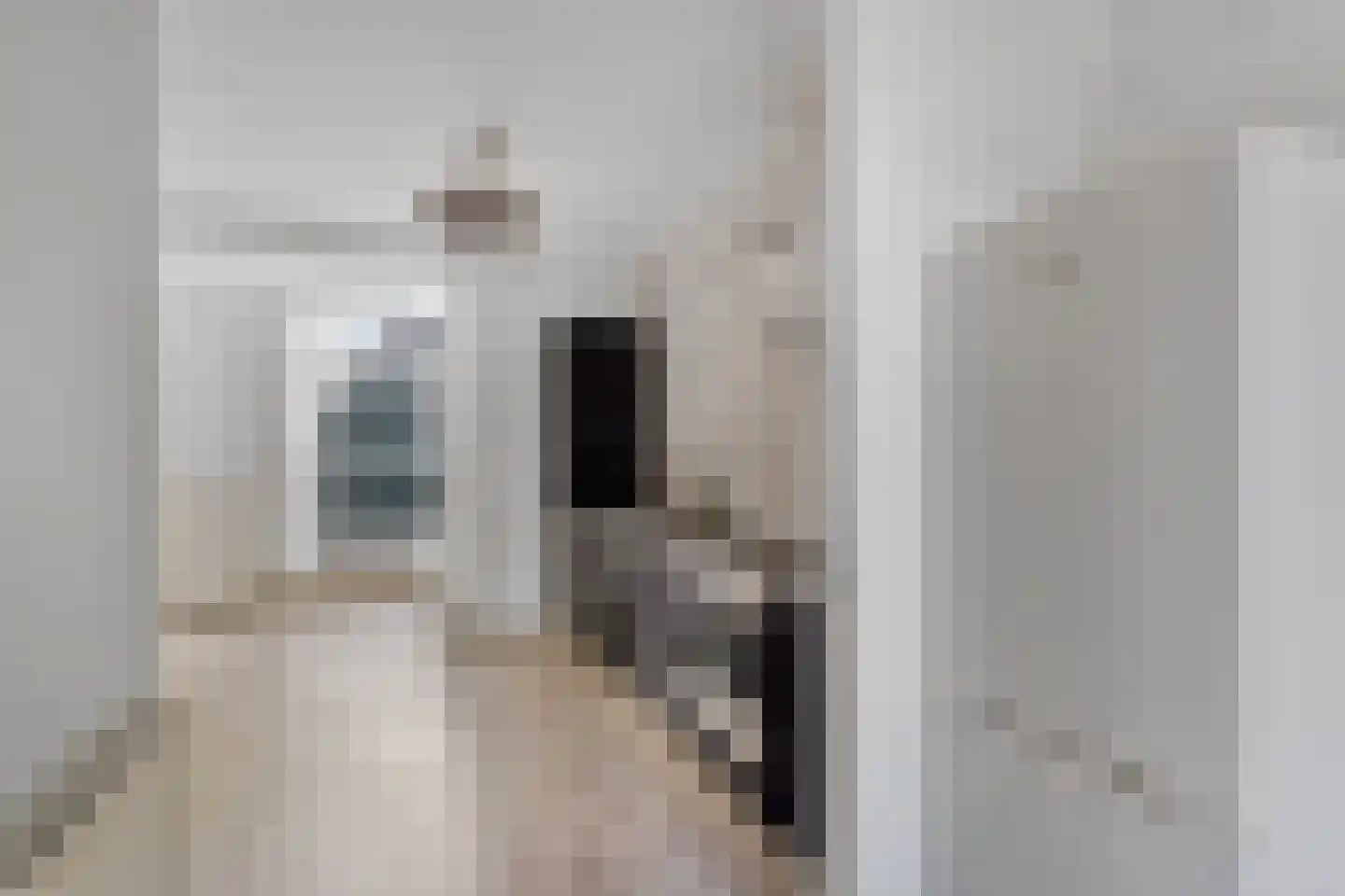 Jan Windhouwerstraat 25 Zaandam thumbnail 8