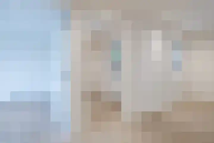 Jan Wintersdijkje 11 Hollandscheveld thumbnail 20