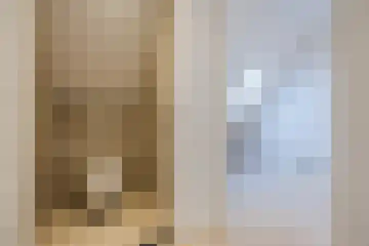 Jan Wintersdijkje 11 Hollandscheveld thumbnail 32