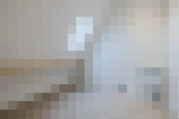 Jan Wintersdijkje 11 Hollandscheveld thumbnail 33