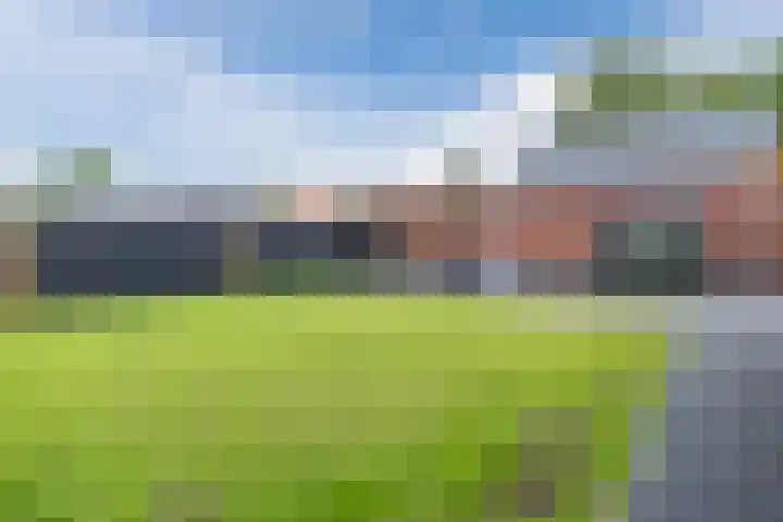 Jan Wintersdijkje 11 Hollandscheveld thumbnail 38