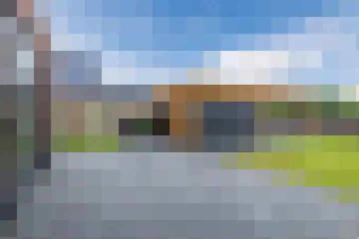 Jan Wintersdijkje 11 Hollandscheveld thumbnail 42