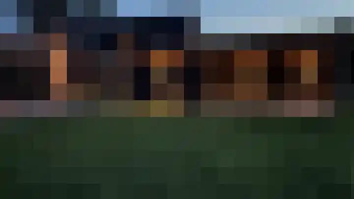 Jan Wintersdijkje 11 Hollandscheveld thumbnail 43