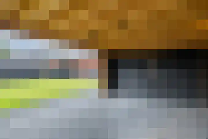 Jan Wintersdijkje 11 Hollandscheveld thumbnail 44