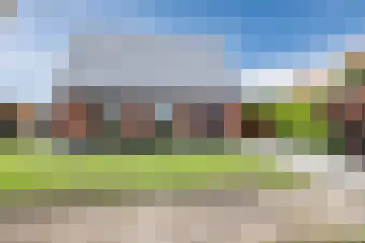 Jan Wintersdijkje 11 Hollandscheveld thumbnail 46