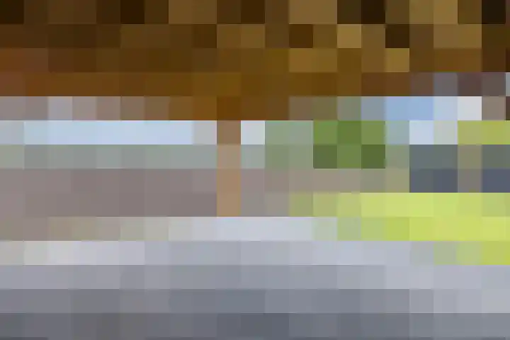 Jan Wintersdijkje 11 Hollandscheveld thumbnail 6
