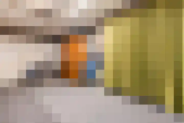 Jan Wintersdijkje 50 Hollandscheveld thumbnail 31