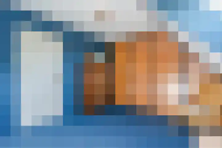 Jan Wintersdijkje 50 Hollandscheveld thumbnail 37