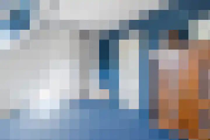 Jan Wintersdijkje 50 Hollandscheveld thumbnail 38