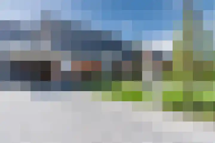 Jan Wintersdijkje 50 Hollandscheveld thumbnail 4