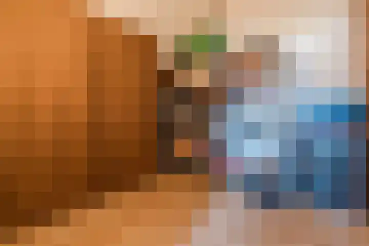 Jan Wintersdijkje 50 Hollandscheveld thumbnail 45