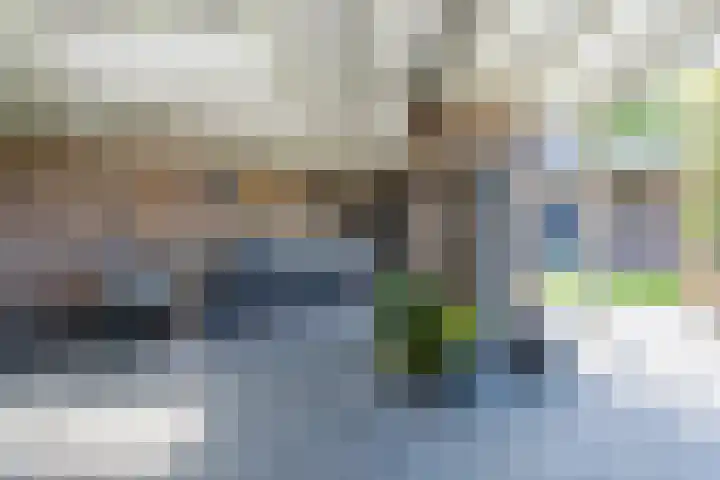 Jan Wintersdijkje 50 Hollandscheveld thumbnail 55