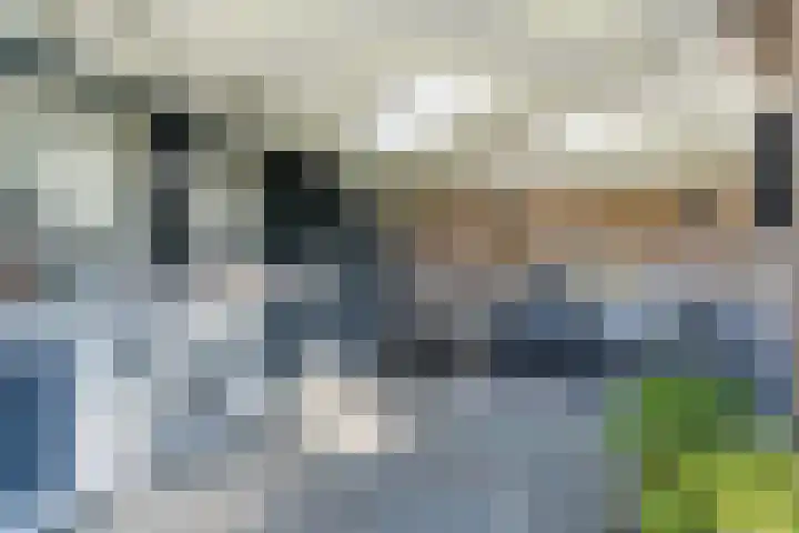 Jan Wintersdijkje 50 Hollandscheveld thumbnail 56
