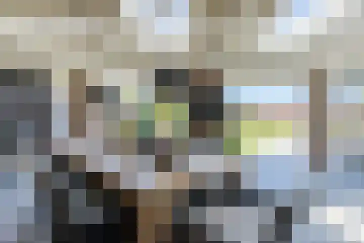 Jan Wintersdijkje 50 Hollandscheveld thumbnail 57