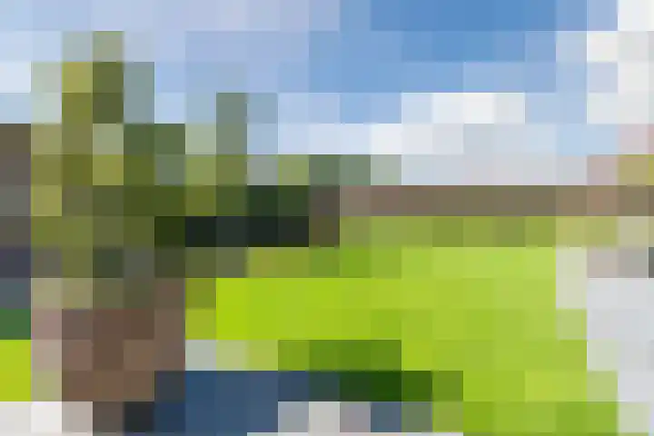Jan Wintersdijkje 50 Hollandscheveld thumbnail 61