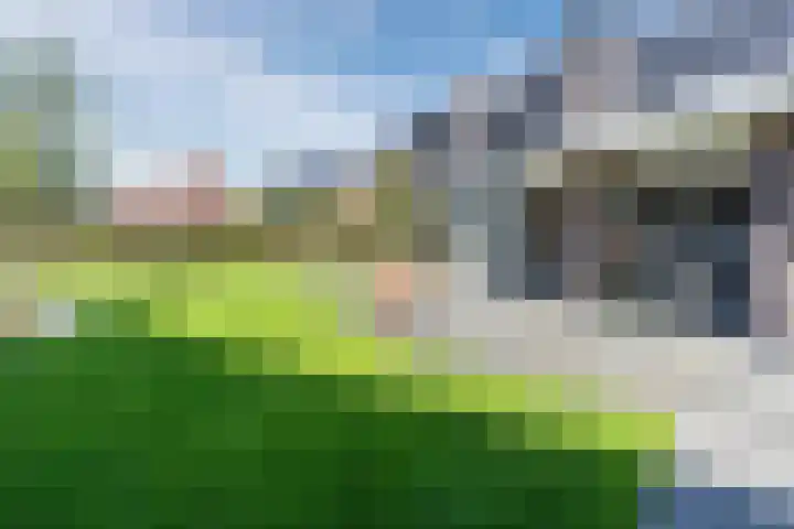 Jan Wintersdijkje 50 Hollandscheveld thumbnail 62